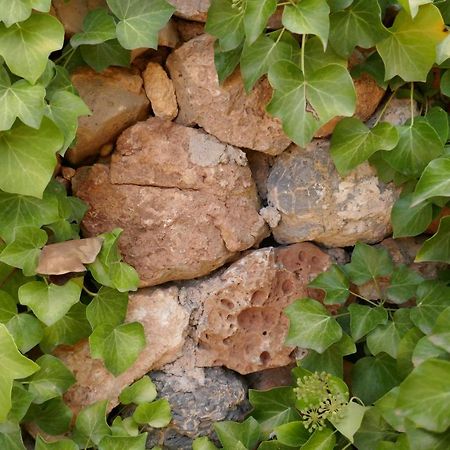 La Casa De Piedra, Una Ventana Al Paraiso Matet Exterior foto